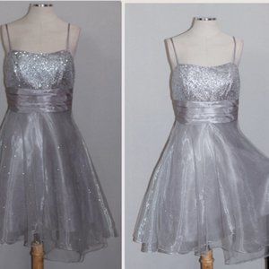 Dancing Queen Silver Dress